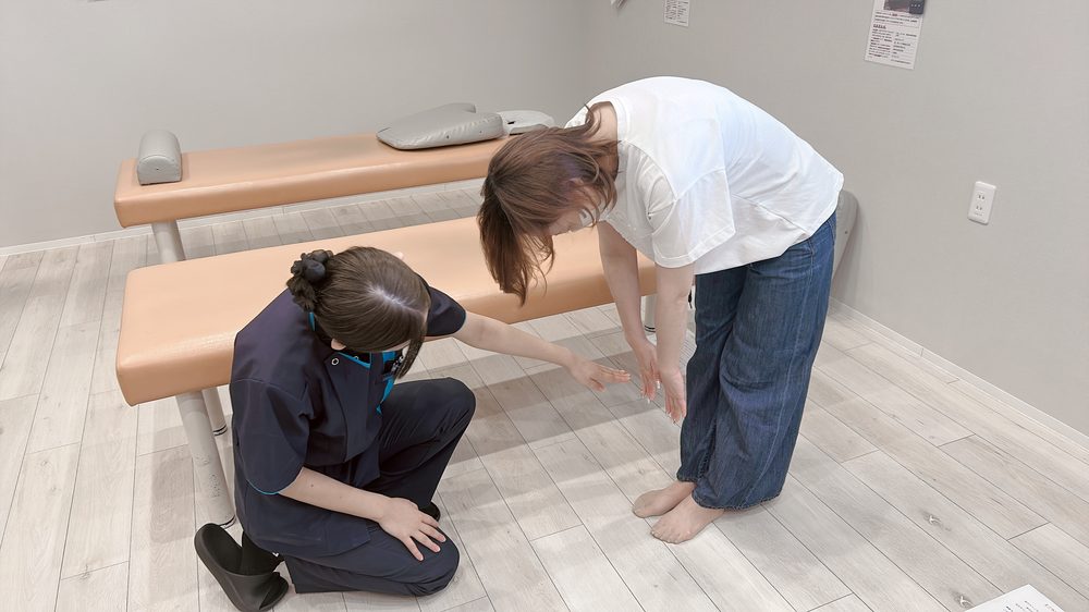 骨盤・股関節を検査している様子（仮画像）