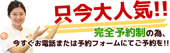 只今大人気